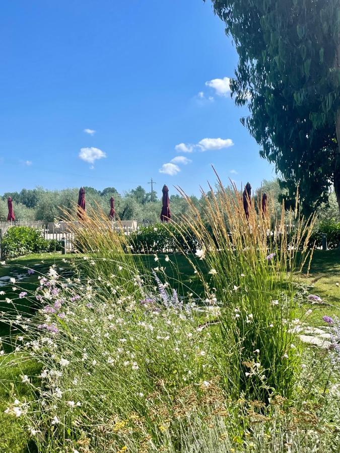Terravita Winery & Boutique *
