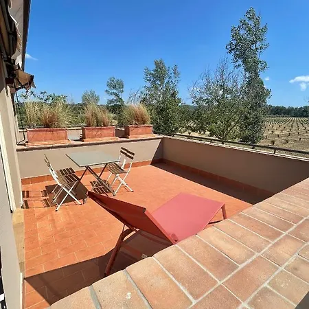 Terravita Winery & Boutique Apartments Suvereto Exterior foto