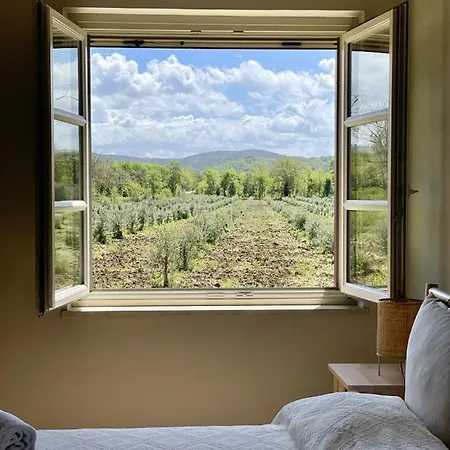 Terravita Winery & Boutique Apartments Suvereto Exterior foto