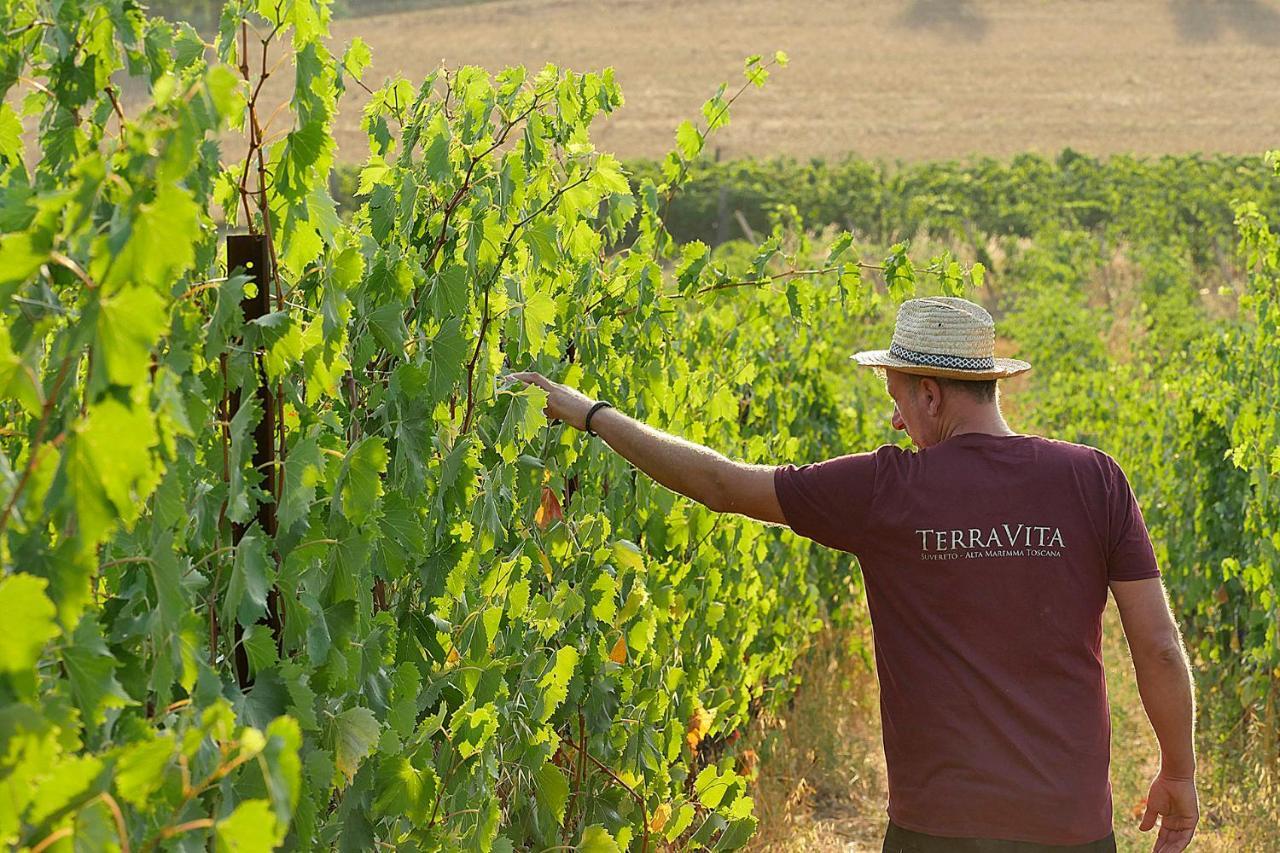 Aparthotel Terravita Winery & Boutique Suvereto